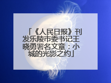 《人民日报》刊发乐陵市委书记王晓勇署名文章：小城的光影之约