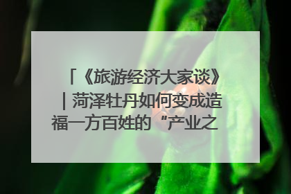《旅游经济大家谈》｜菏泽牡丹如何变成造福一方百姓的“产业之花”“富民之花”？