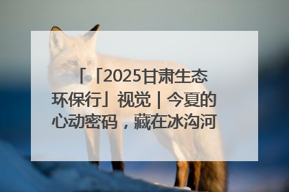 「2025甘肃生态环保行」视觉｜今夏的心动密码，藏在冰沟河的潋滟波光里