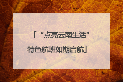 “点亮云南生活”特色航班如期启航