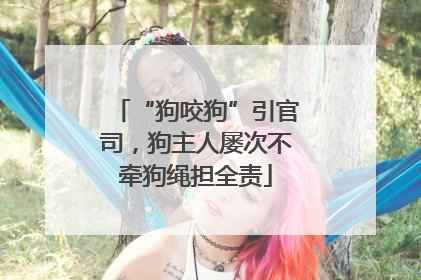 “狗咬狗”引官司，狗主人屡次不牵狗绳担全责
