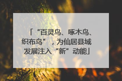 “百灵鸟、啄木鸟、织布鸟”，为仙居县域发展注入“新”动能