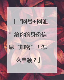 “网号+网证”给你的身份信息“加密”！怎么申领？