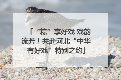 “粽”享好戏 戏韵流芳！共赴河北“中华有好戏”特别之约
