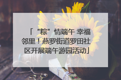 “粽”情端午 幸福邻里！燕罗街道罗田社区开展端午游园活动