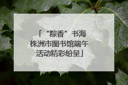 “粽香”书海 株洲市图书馆端午活动精彩纷呈