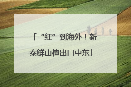 “红”到海外！新泰鲜山楂出口中东