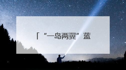 “一岛两翼”蓝图已展，在复兴岛面向全球发出“杨浦之约”