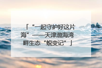 “一起守护好这片海”——天津渤海湾畔生态“蜕变记”