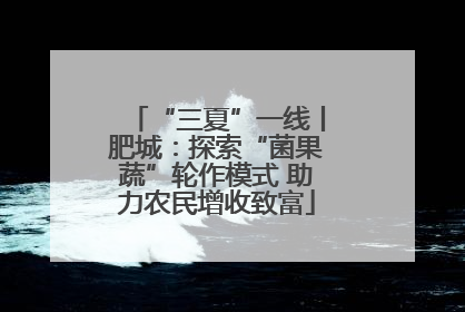 “三夏”一线丨肥城：探索“菌果蔬”轮作模式 助力农民增收致富