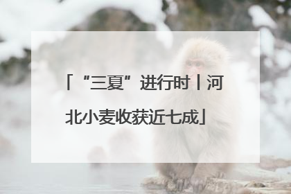 “三夏”进行时丨河北小麦收获近七成