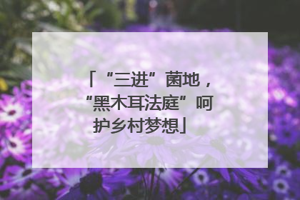 “三进”菌地，“黑木耳法庭”呵护乡村梦想