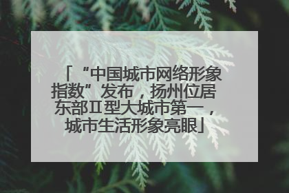 “中国城市网络形象指数”发布，扬州位居东部Ⅱ型大城市第一，城市生活形象亮眼