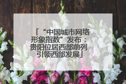 “中国城市网络形象指数”发布：贵阳位居西部前列 引领西部发展