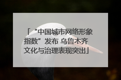 “中国城市网络形象指数”发布 乌鲁木齐文化与治理表现突出