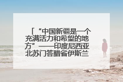 “中国新疆是一个充满活力和希望的地方”——印度尼西亚北苏门答腊省伊斯兰教代表团参访新疆