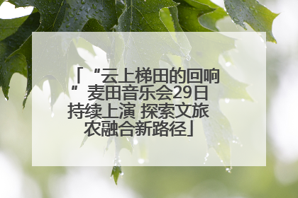 “云上梯田的回响”麦田音乐会29日持续上演 探索文旅农融合新路径