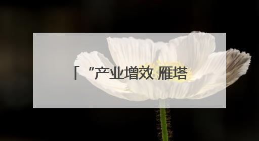 “产业增效 雁塔有约”雁塔区产业发展招商推介会举行 25个项目签约