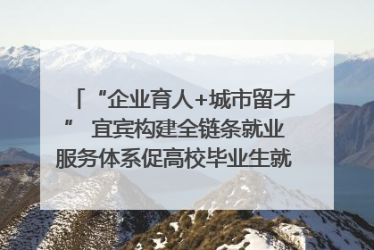 “企业育人+城市留才” 宜宾构建全链条就业服务体系促高校毕业生就业｜您牵挂的四川