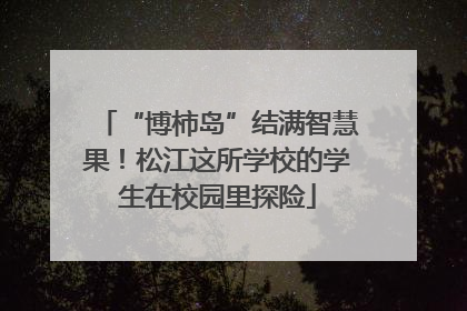 “博柿岛”结满智慧果！松江这所学校的学生在校园里探险
