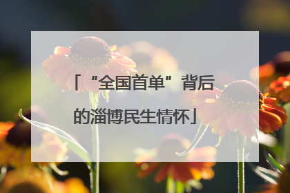 “全国首单”背后的淄博民生情怀
