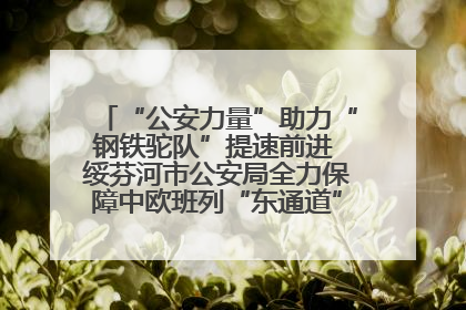 “公安力量”助力“钢铁驼队”提速前进 绥芬河市公安局全力保障中欧班列“东通道”绥芬河隧道贯通
