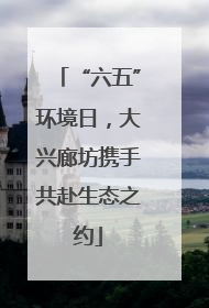 “六五”环境日，大兴廊坊携手共赴生态之约