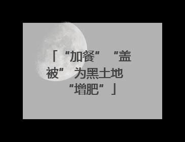 “加餐”“盖被” 为黑土地“增肥”