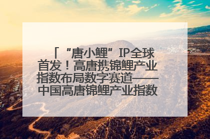 “唐小鲤”IP全球首发！高唐携锦鲤产业指数布局数字赛道——中国高唐锦鲤产业指数暨“唐小鲤”IP全球首发仪式在杭州举行