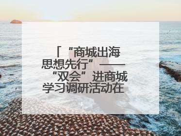 “商城出海 思想先行”——“双会”进商城学习调研活动在临沂顺利开展