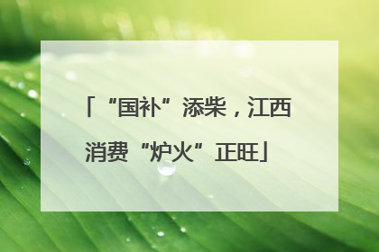 “国补”添柴，江西消费“炉火”正旺