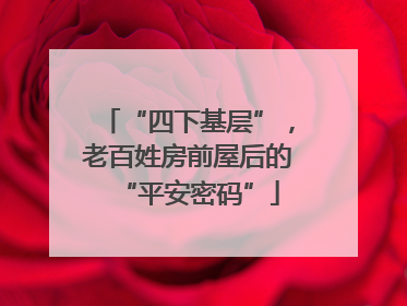 “四下基层”，老百姓房前屋后的“平安密码”