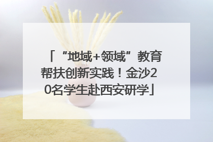 “地域+领域”教育帮扶创新实践！金沙20名学生赴西安研学