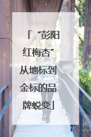 “彭阳红梅杏”从地标到金标的品牌蜕变