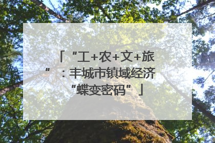 “工+农+文+旅”：丰城市镇域经济“蝶变密码”