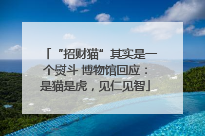 “招财猫”其实是一个熨斗 博物馆回应：是猫是虎，见仁见智