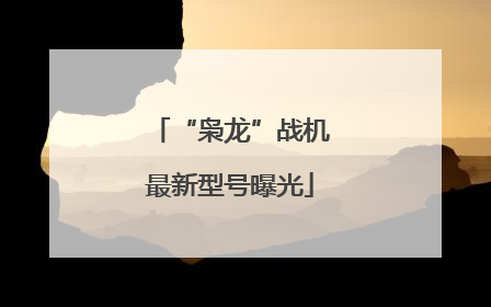 “枭龙”战机最新型号曝光