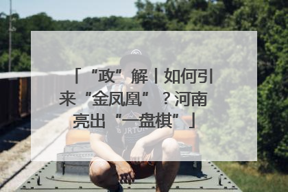 “政”解丨如何引来“金凤凰”？河南亮出“一盘棋”