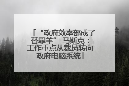 “政府效率部成了替罪羊” 马斯克：工作重点从裁员转向政府电脑系统