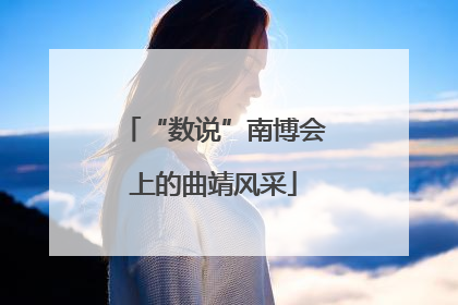 “数说”南博会上的曲靖风采