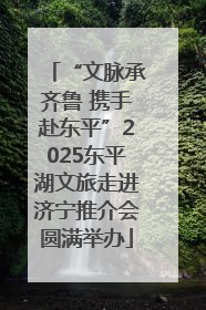“文脉承齐鲁 携手赴东平”2025东平湖文旅走进济宁推介会圆满举办