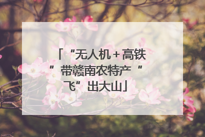 “无人机＋高铁”带赣南农特产“飞”出大山