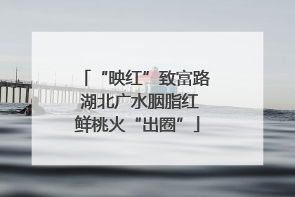 “映红”致富路 湖北广水胭脂红鲜桃火“出圈”
