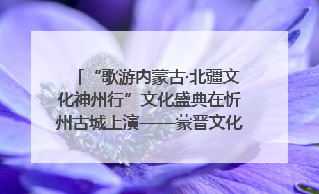“歌游内蒙古·北疆文化神州行”文化盛典在忻州古城上演——蒙晋文化交融共谱文旅融合新篇