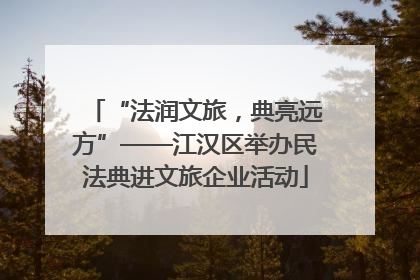 “法润文旅，典亮远方”——江汉区举办民法典进文旅企业活动