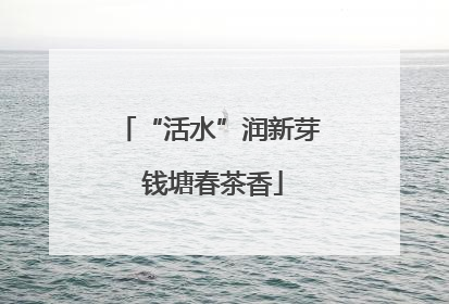 “活水”润新芽 钱塘春茶香