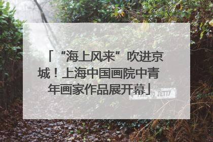 “海上风来”吹进京城！上海中国画院中青年画家作品展开幕