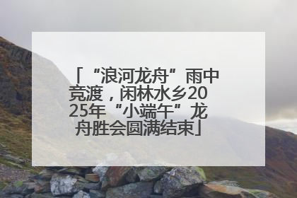 “浪河龙舟”雨中竞渡，闲林水乡2025年“小端午”龙舟胜会圆满结束