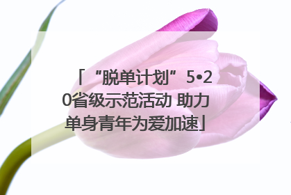 “脱单计划”5•20省级示范活动 助力单身青年为爱加速