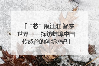 “芯”聚江淮 智感世界——探访蚌埠中国传感谷的创新密码